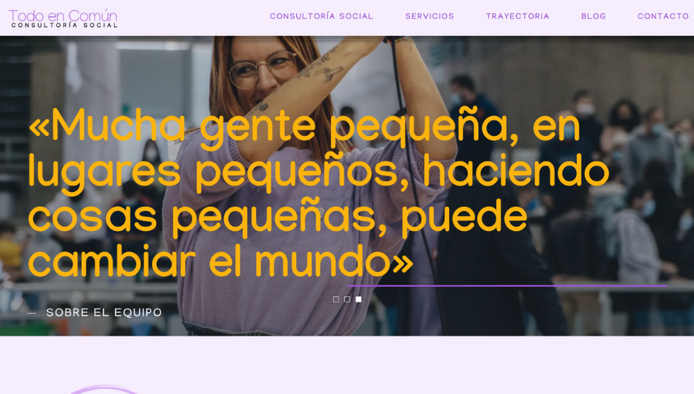 Captura web consultoria social Todo En Comun